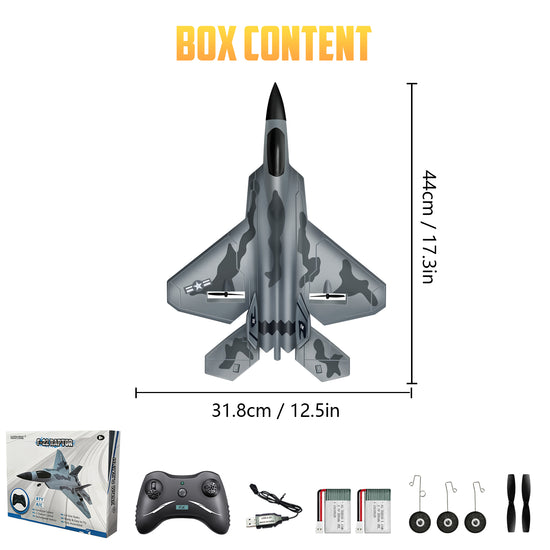 RC F22 Raptor, 2 Channel 2.4 GHz Remote Control Airplane, Easy to Fly ...
