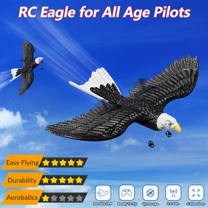 RC Eagle, ferngesteuertes 2-Kanal-2,4-GHz-Flugzeug, einfach zu fliegendes Segelflugzeug für Kinder und Anfänger 