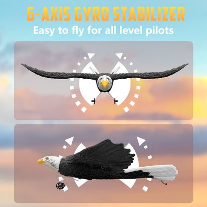 RC Eagle, ferngesteuertes 2-Kanal-2,4-GHz-Flugzeug, einfach zu fliegendes Segelflugzeug für Kinder und Anfänger 