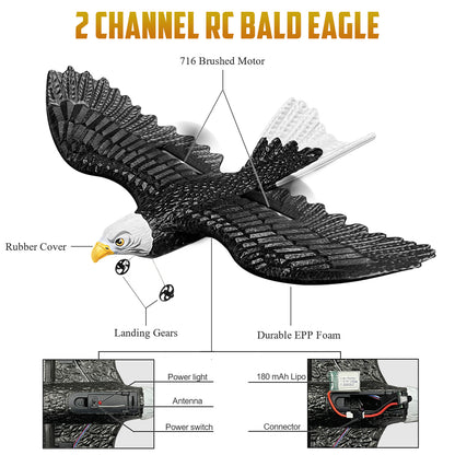 RC Eagle, ferngesteuertes 2-Kanal-2,4-GHz-Flugzeug, einfach zu fliegendes Segelflugzeug für Kinder und Anfänger 