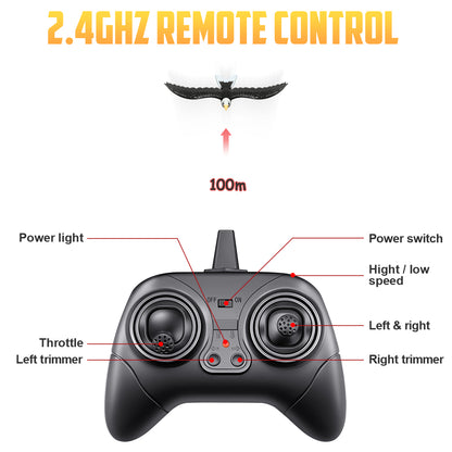 RC Eagle, ferngesteuertes 2-Kanal-2,4-GHz-Flugzeug, einfach zu fliegendes Segelflugzeug für Kinder und Anfänger 