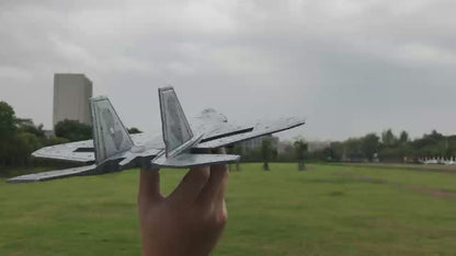 RC F22 Raptor, 2 Channel 2.4 GHz Remote Control Airplane, Easy to Fly Glider for Kids & Beginners